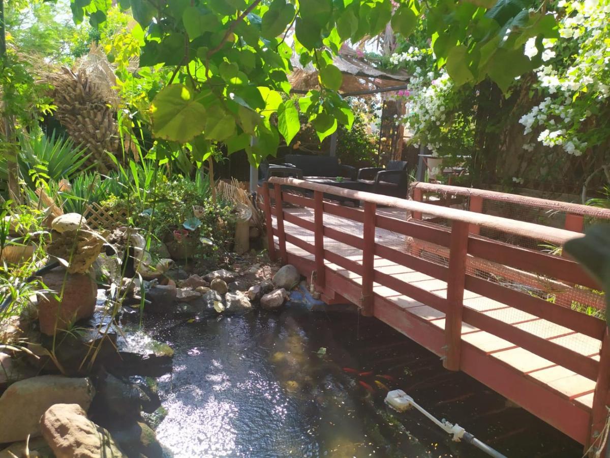 Apartamento Lotus Turtle Garden Eilat Exterior foto